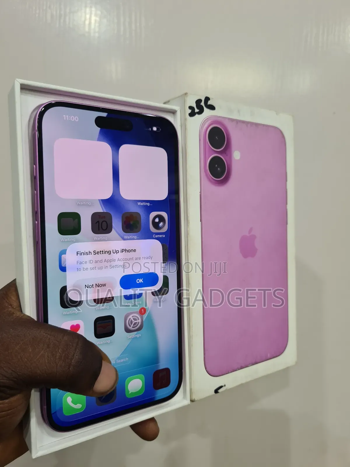 Apple iPhone 16 Plus 256 GB Pink