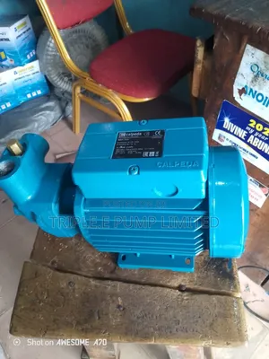 Calpelda Pump