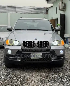 BMW X5 xDrive48i AWD (4.8L 8cyl 6A) 2010 Blue