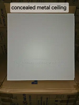 Suspended Ceiling (Metal Ceiling)