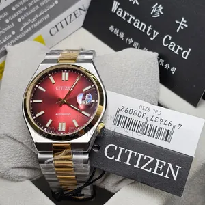 Top Quality Citizens Chain Watch