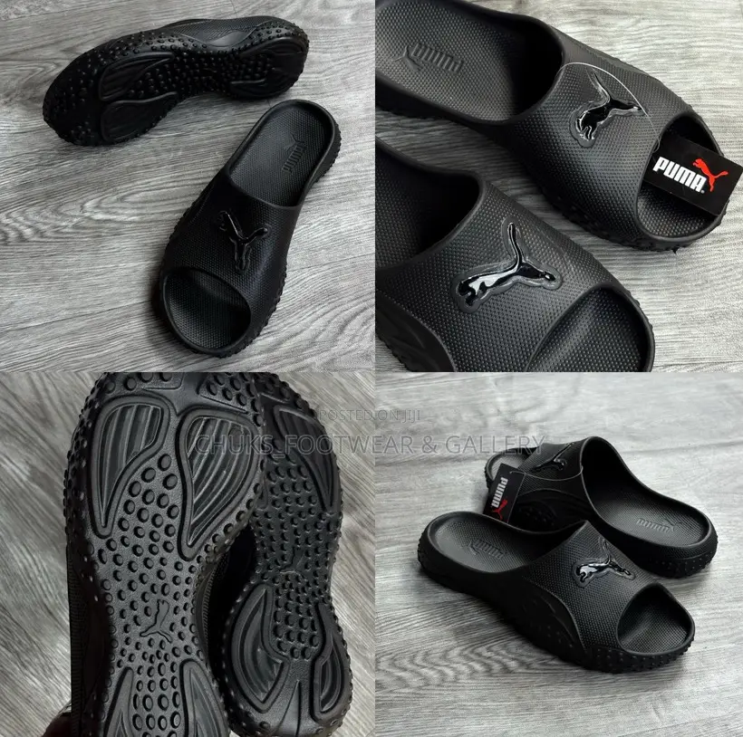 Puma Slide