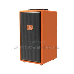 L9 Acemic Powered Pa Speaker