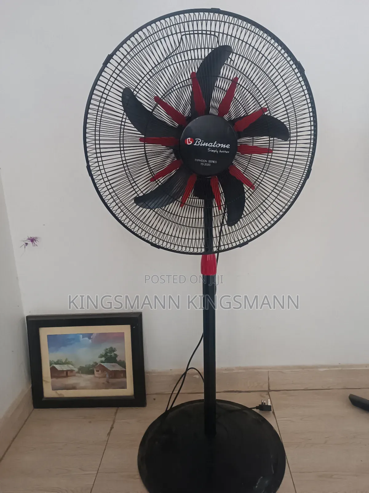 Binatone Fan