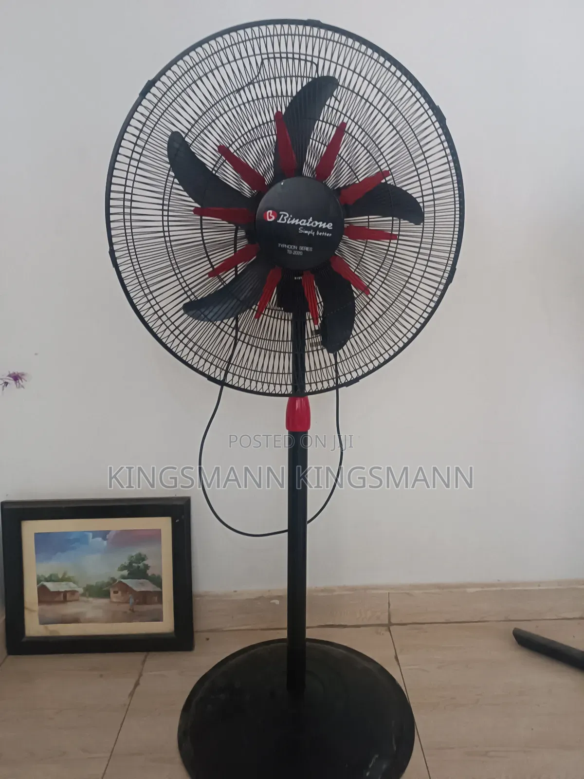 Binatone Fan