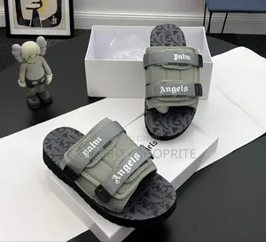 Palm Angel's Footage
