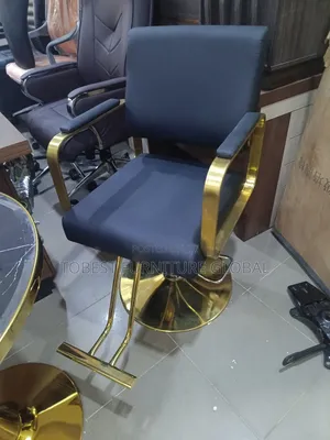 Modern Styling Salon Chair