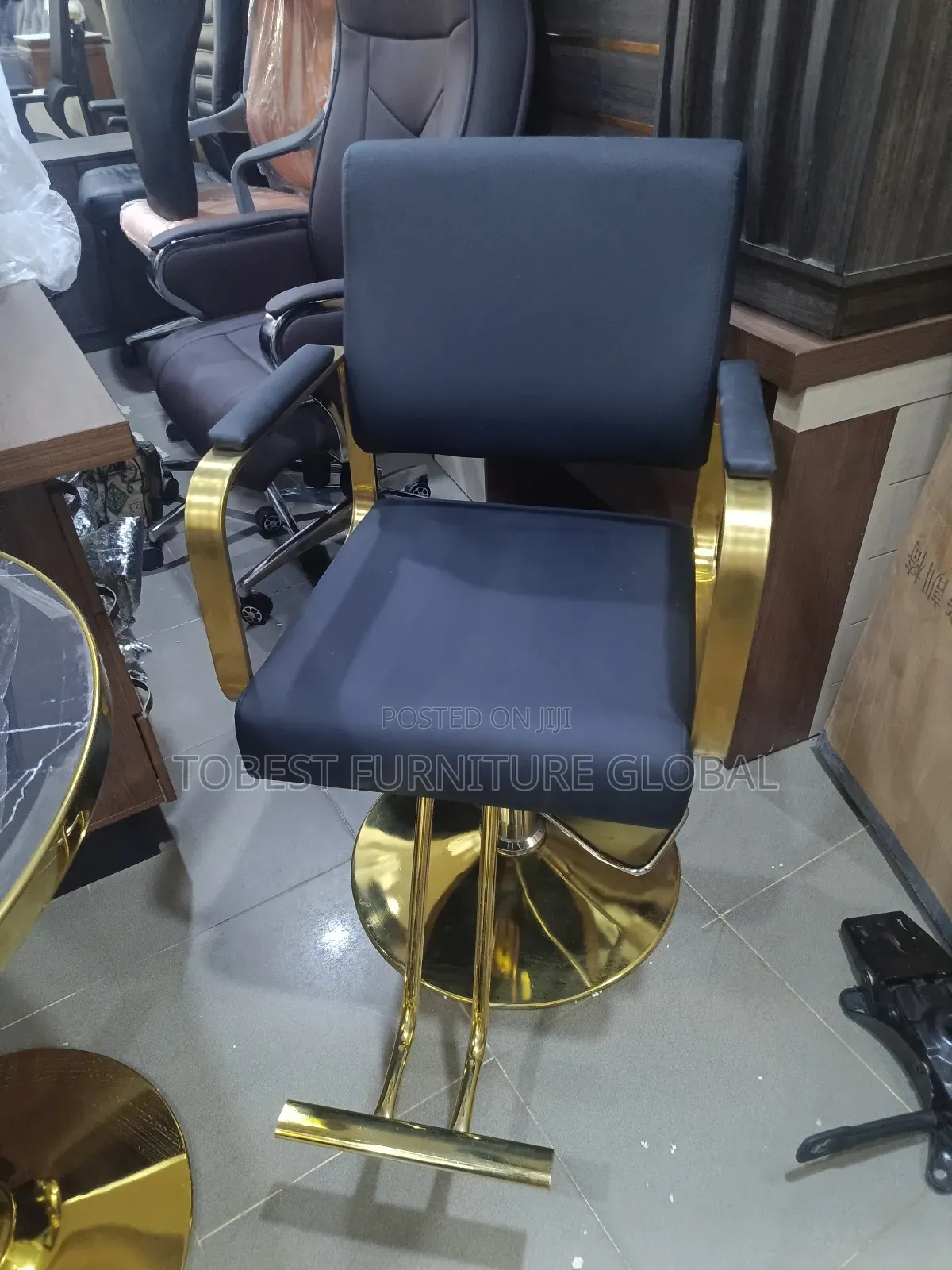 Modern Styling Salon Chair