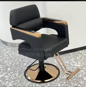 Professional Salon Chair