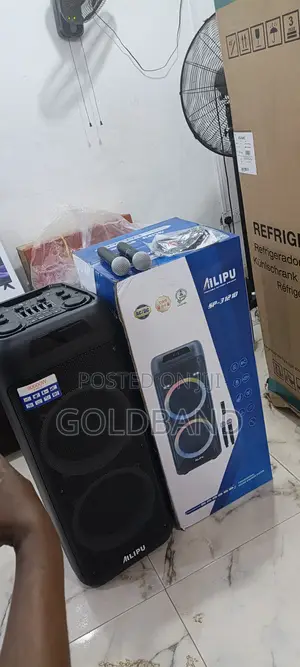 Ailipu Sp-312 1d 120w Dj Speaker With Microphones