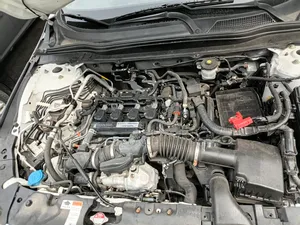 Honda Accord 2019 White
