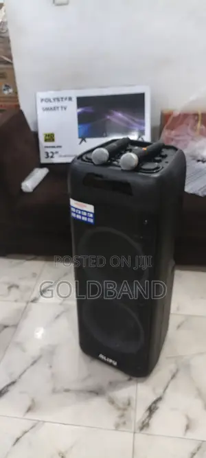 Ailipu Sp-312 120w Party Speaker With 2 Mics