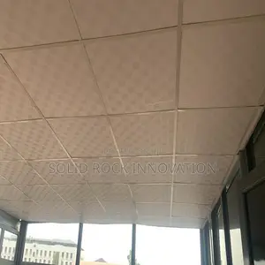 Laminated Suspended Ceiling With Grids