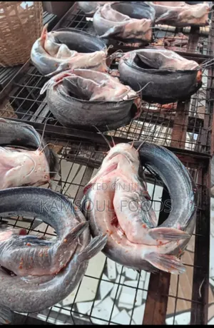 Fresh Catfish About to Enter the Oven to Be Dried.
