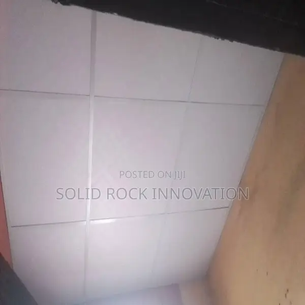 Suspended Ceiling With Installation.