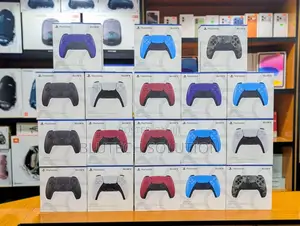 Sony Ps5 Pad