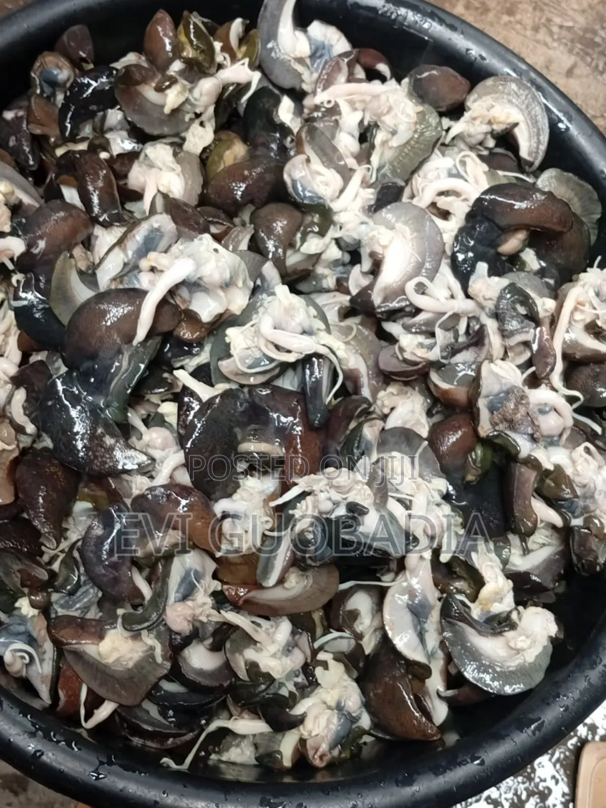 Fresh and Dried Snail