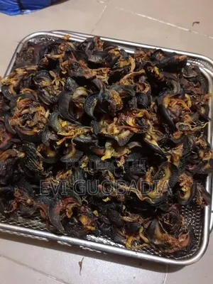 Fresh and Dried Snail