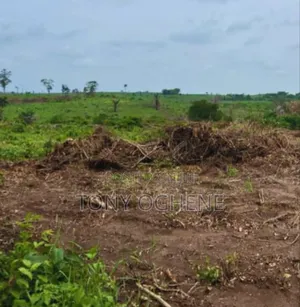 Plots/Acres of Land for Sale at Atan, Ogun State
