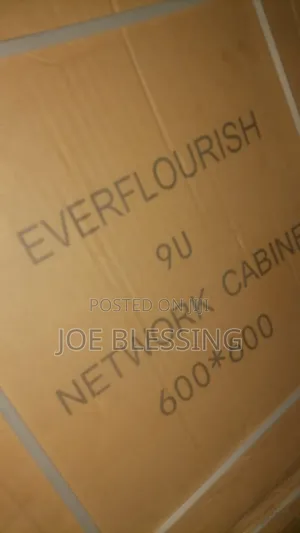 Ever Flourish 9u Rack Networking Cabinet 600*600