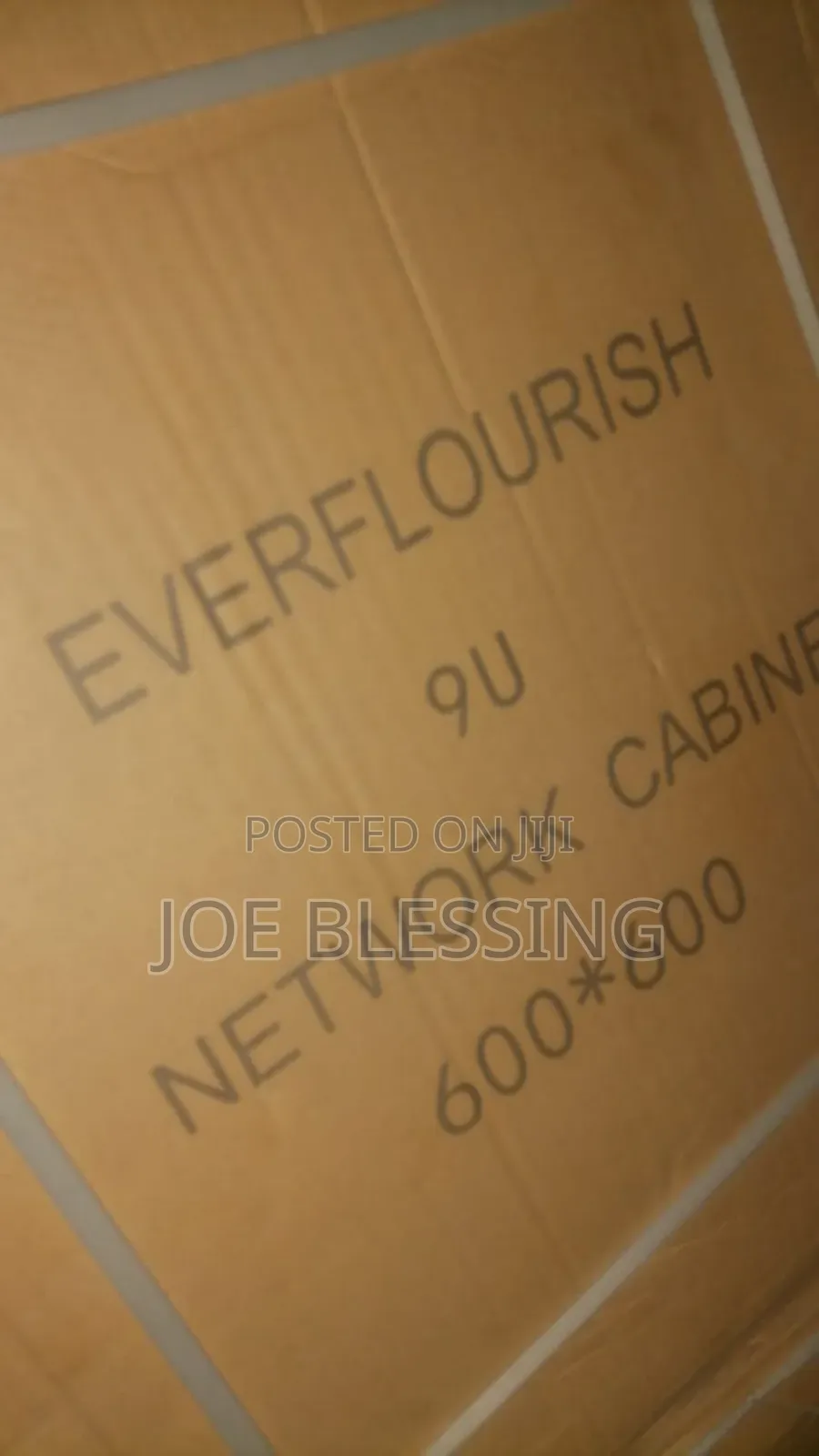 Ever Flourish 9u Rack Networking Cabinet 600*600