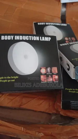 Body Induction Lamp