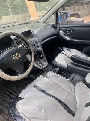 Lexus RX 2002 Silver