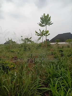 For Sale: 2 Plots Eneka, Portharcourt