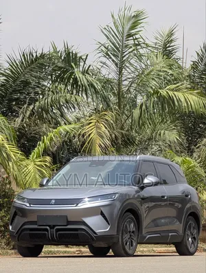 BYD Yuan Up 45 kWh FWD 2024 Gray