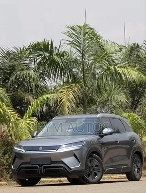 BYD Yuan Up 45 kWh FWD 2024 Gray