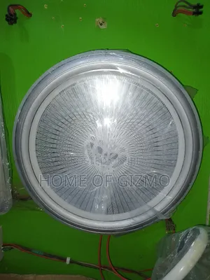 Decorative Ceiling Light