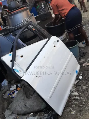 Complete Front Door Rx 330