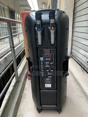 Sunymax Double Public Address System With 2 Wireless Mic