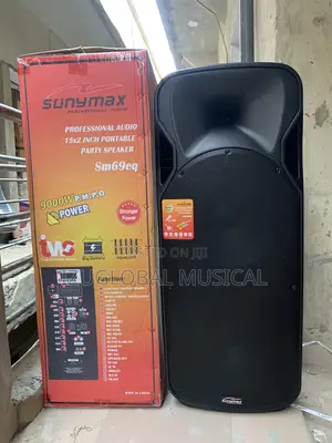 Sunymax Double Public Address System With 2 Wireless Mic