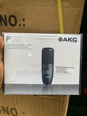 Akg P120 Condenser Microphone
