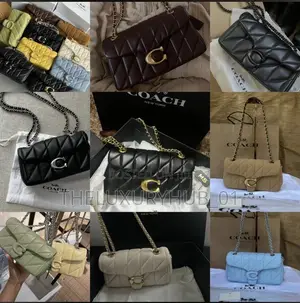 New in Original Coach Bag