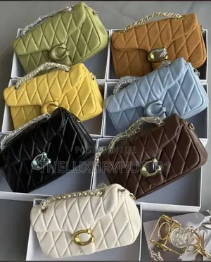 New in Original Coach Bag