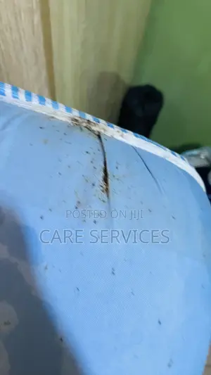Professional Bedbugs Treatment in Lagos