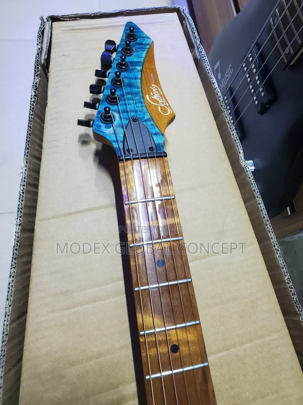 Bass Guitar 
