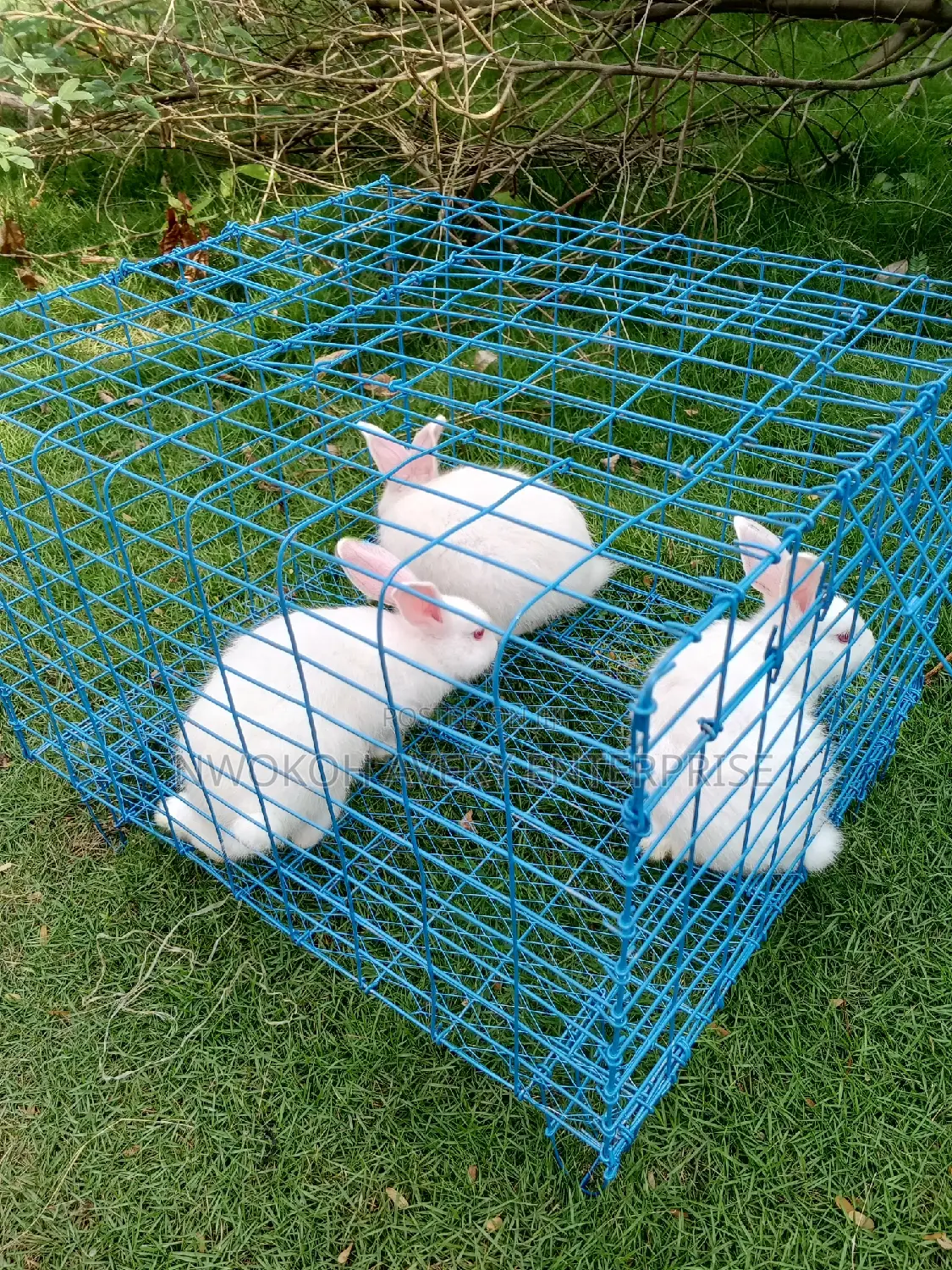 Mobile Cage for Rabbit and Cat