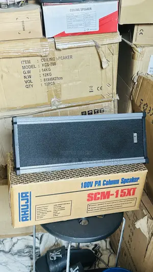 Ahuja Hanging Speakers