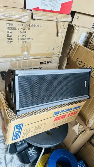 Ahuja Hanging Speakers