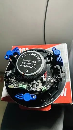 Frameless 30w Bluethooth Ceiling Speakers