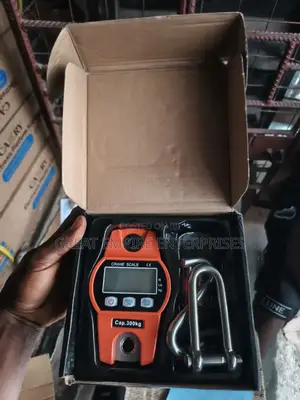 300kg Crane Scale