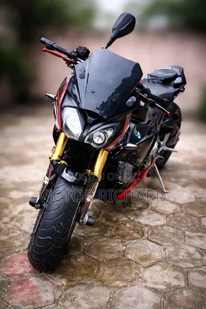 BMW S 1000 R 2018 Red