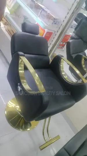 Salon and Barber Chair