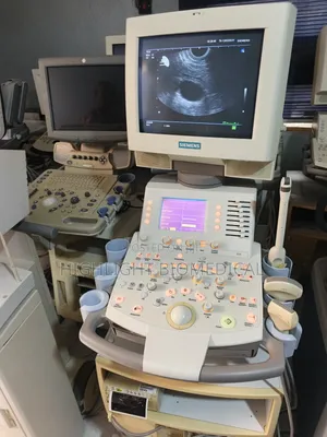 Siemens Sonoline G60s Color Doppler With Convex Linear TVS Probe