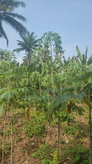 2 Acres of Farmland Near Sukuru for Sale