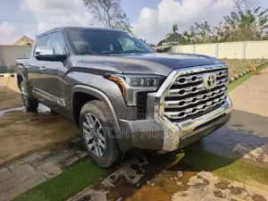 Toyota Tundra 2023 Brown