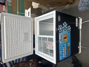 Nexus 162l Inverter Freezer